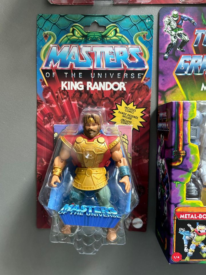 MOTU Masters of the Universe Ram MAN He-Man King Randor Teela in Wuppertal