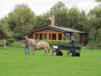 Ostsee - Rerik- / Poel - Nähe - Bungalow - Ferienhaus Bad Doberan - Landkreis - Neubukow Vorschau