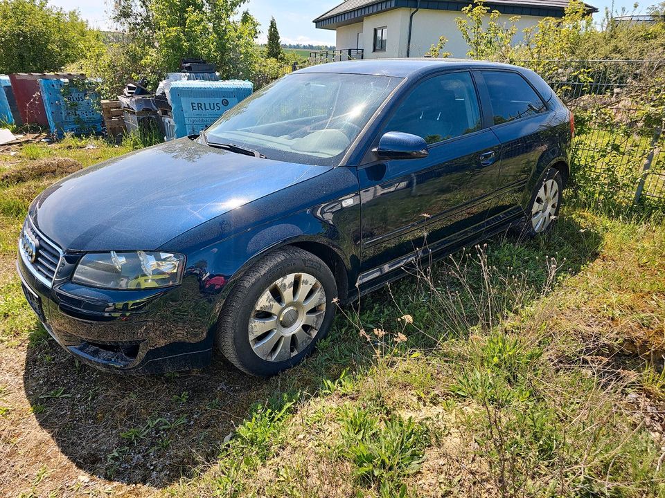 Audi A3 8p in Walldürn