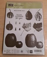 Stampin Up Gourd Goodness Nordrhein-Westfalen - Isselburg Vorschau