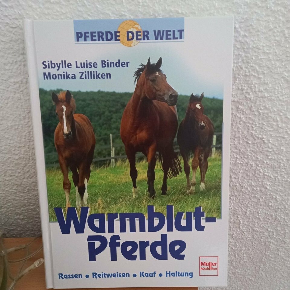 Pferde der Welt: Vollblut-Pferde. Rassen, Reitweisen, Kauf und in Wiederstedt