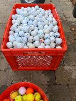 900 Golfbälle Lakeballs Crossgolf alle Marken Bayern - Bernau am Chiemsee Vorschau