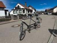 Tandem Fahrrad Prophet Bayern - Kempten Vorschau