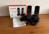 Gigaset E290 Duo Telefon mit großen Tasten (Seniorentelefon) Brandenburg - Wittstock/Dosse Vorschau