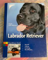 Buch Labrador/Retriever Brandenburg - Perleberg Vorschau