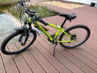 Kinderfahrrad Mountainbike Altersklasse ab 5 Jahre Bielefeld - Dornberg Vorschau