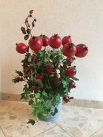 Künstliche Pflanzen, Kunstblumen, Granatäpfel, Dekoration Hessen - Bad Wildungen Vorschau