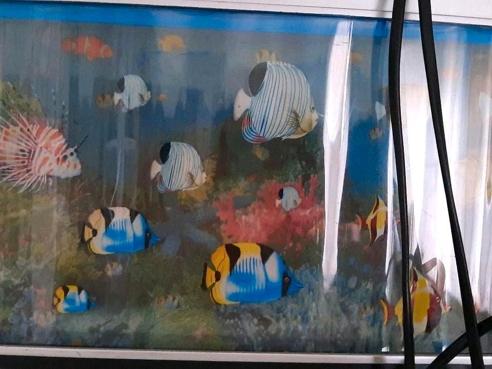 Lampe Aquarium zu verkaufen in Wackersdorf