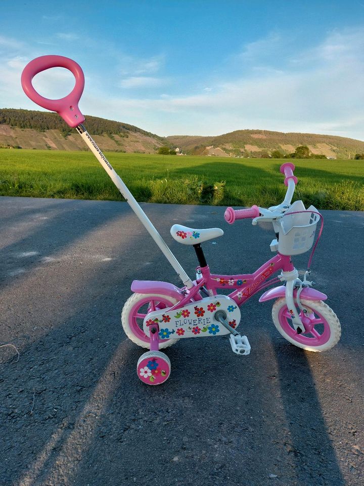 Kleinkinder Fahrrad. in Erlenbach am Main 