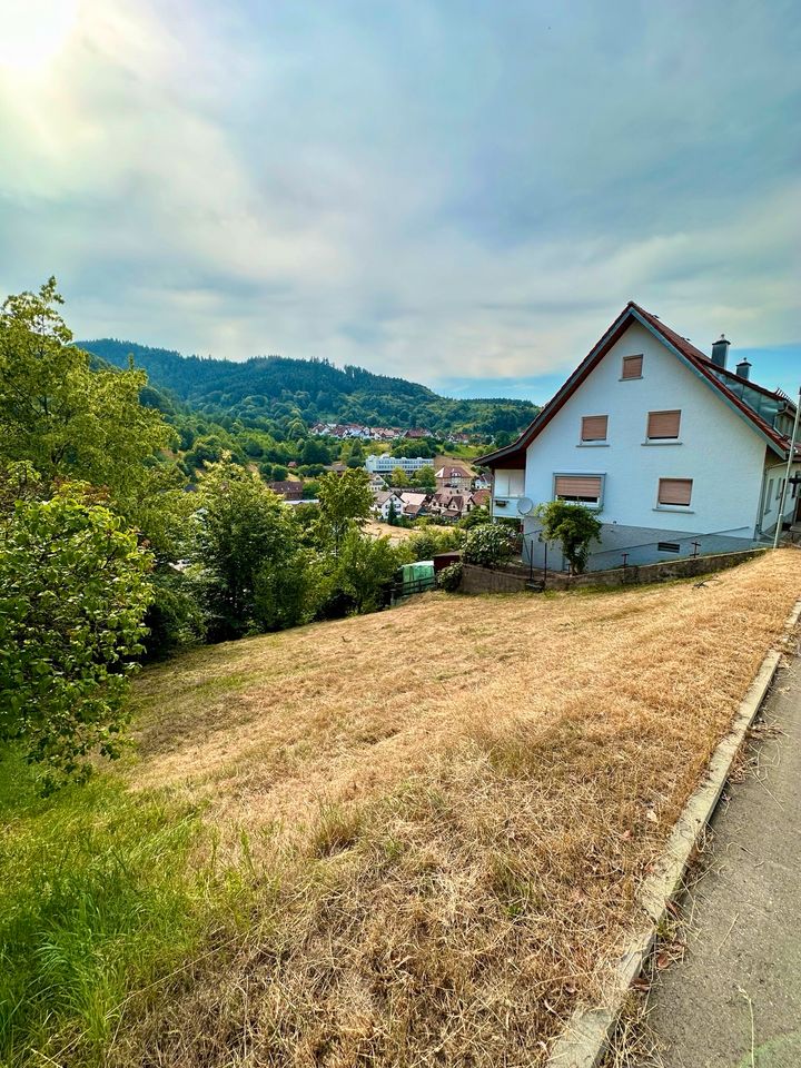 Baugrundstück Bauplatz in Weisenbach Einfamilienhaus in Weisenbach