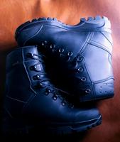 Lowa Elite Patrol GTX KSK Einsatzschuhe Gore-Tex wasserdicht Frau Bayern - Augsburg Vorschau