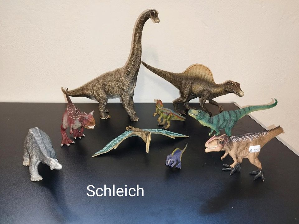 Schleich Dinosaurier Konvolut in Ascheberg