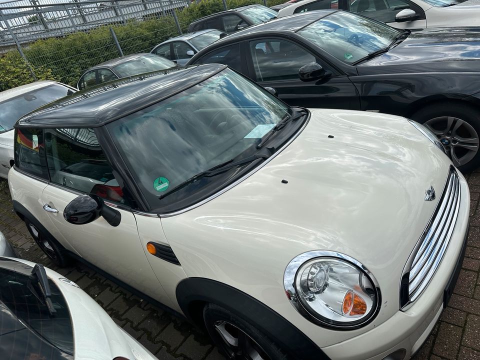 Mini Cooper R56 Xenon / Leder in Dortmund