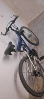 Fahrrad 26 zoll Hessen - Wiesbaden Vorschau