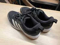 Adidas Hallensportschuhe f. Kinder, Gr. 37 Dresden - Schönfeld-Weißig Vorschau