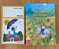 Bücher: Artemis Fowl, Madita, Nibelungen, Der durch den Spiegel k Niedersachsen - Lüneburg Vorschau