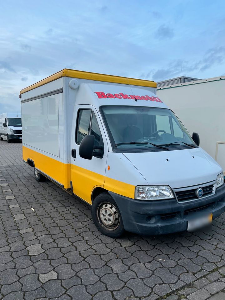 Fiat Ducato 244 VERKAUFSWAGEN Motorschaden Borco Höhns in Lilienthal