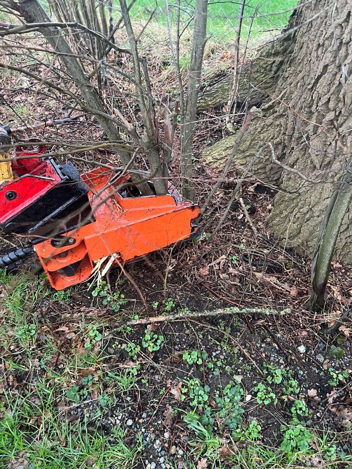 Fällgreifer /Baumschere  MS01 zu Verkaufen in Achim