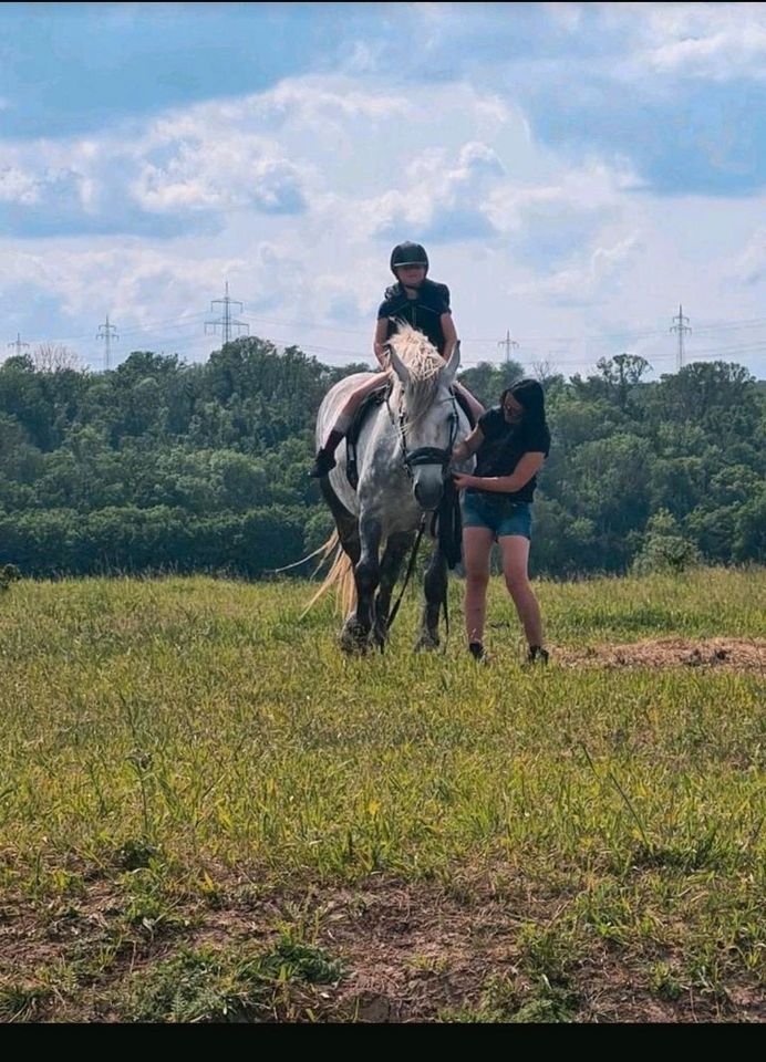 Kinderreiten in Laucha an der Unstrut