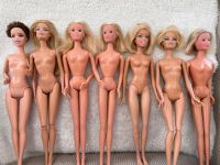 Barbies und Steffies Puppen Niedersachsen - Visselhövede Vorschau