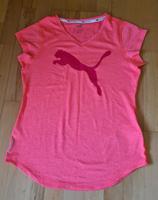 Puma Tshirt Training Drycell Gr. 38 Shirt Nordrhein-Westfalen - Elsdorf Vorschau