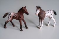 Schleich Pferde Appaloosa Fohlen Set Sachsen-Anhalt - Halberstadt Vorschau