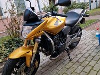 Honda Hornet Gold Reifen Neu erst 17500km Berlin - Steglitz Vorschau