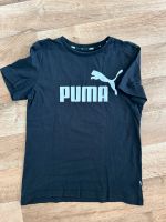 2 Shirts Adidas & Puma  140 Wandsbek - Hamburg Sasel Vorschau