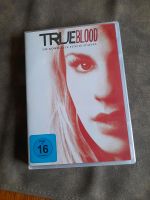 DVD / True Blood / Fünfte Staffel Bayern - Miltenberg Vorschau