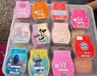 Scentsy Bars neu Hessen - Braunfels Vorschau