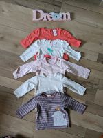 Langarmshirts Pullover Baby Mädchen Größe 62 Thüringen - Gerstungen Vorschau