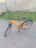 Damenfahrrad 28Zoll Ludwigslust - Landkreis - Grabow Vorschau