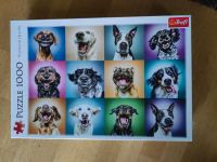 Puzzle Hunde Tiere Premium Fa. Treffl 1000 Teile Bayern - Bamberg Vorschau