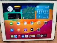 Apple IPad Pro 12,9, 64 GB, WiFi Nordrhein-Westfalen - Elsdorf Vorschau