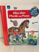 Wieso weshalb warum - alles über Pferde und Ponys Hessen - Wesertal Vorschau