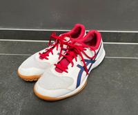 ASICS Hallenschuhe Gr. 45 Nordrhein-Westfalen - Langenberg Vorschau