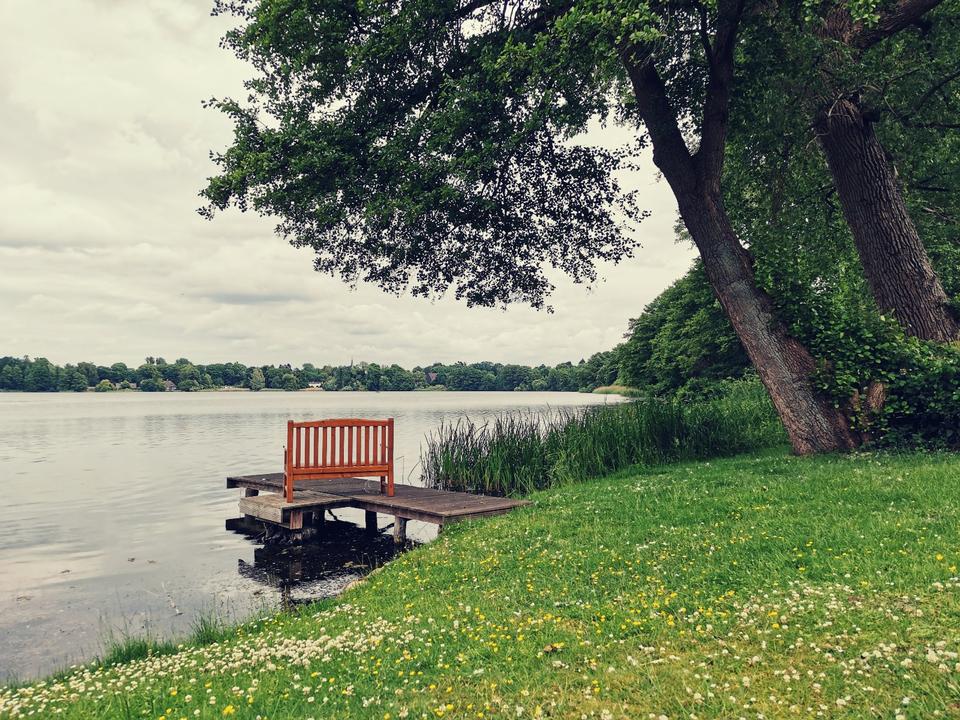 ⏩ Belohnung: Suche Seegrundstück Haus -Region Schaalsee Zarrentin in Zarrentin