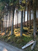 Ofenfertiges Holz Fichte/Buche Nordrhein-Westfalen - Eslohe Vorschau