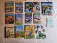 Kinderbücher  / magische Baumhaus / Lego/ Conni / Leselöwe usw Baden-Württemberg - Tamm Vorschau