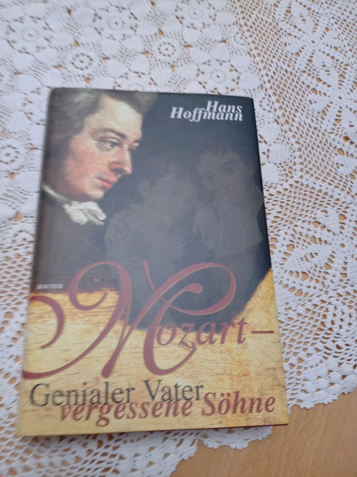 Buch Roman Mozart -  vergessene Söhne in Langenfeld