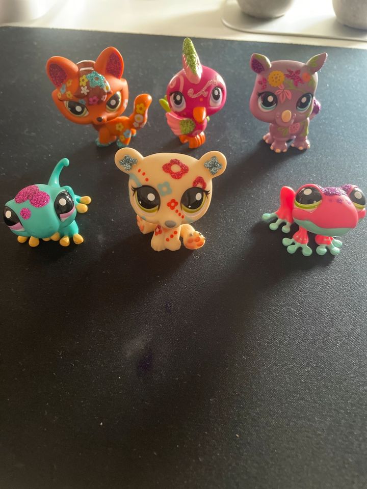 Glitzernde Littlest Pet Shops in Losheim am See