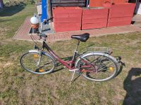 BBF Fahrrad 28 zoll Bad Doberan - Landkreis - Sanitz Vorschau