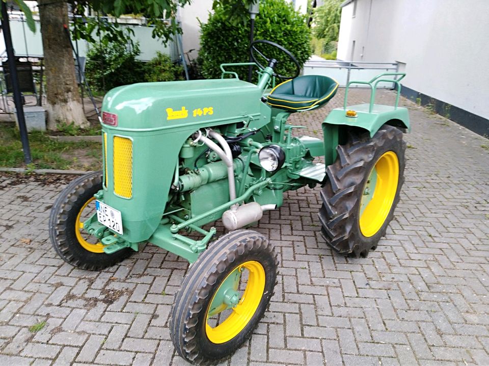 Traktor, Trecker: Bautz AS 120 D   Baujahr: 1956 restauriert in Tönisvorst