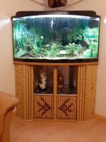 Eck Aquarium 350 Liter Terrarium Trigon Juwel + Zubehör + Schrank Niedersachsen - Braunschweig Vorschau