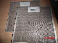 2 Filter Dunstabzughause Alu gebraucht 250 X 243mm Nordrhein-Westfalen - Warburg Vorschau