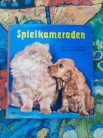 Kinderbuch SPIELKAMERADEN ❤️ Hund  Katzen Reime Bilderbuch Kiel - Meimersdorf-Moorsee Vorschau