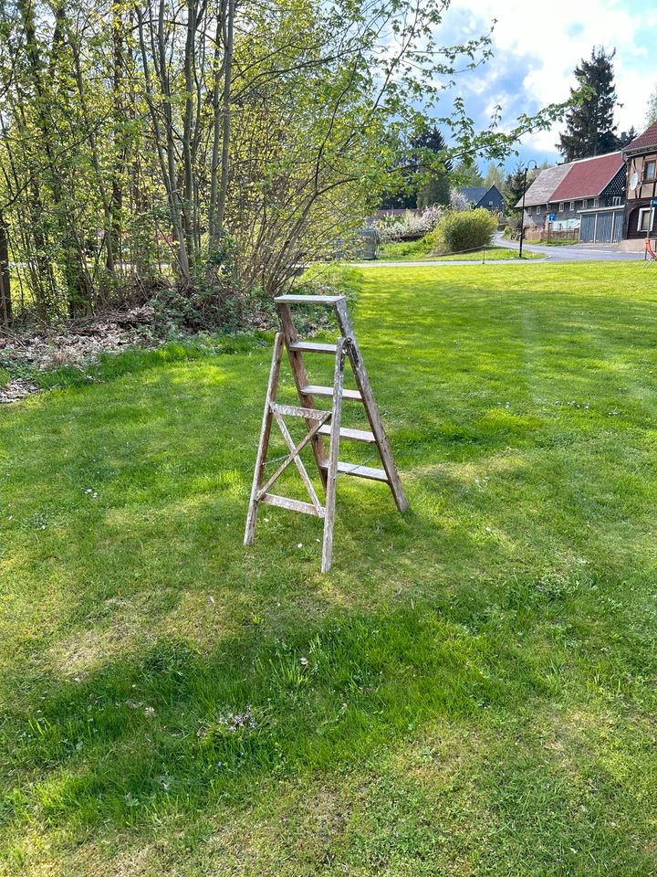 Holzleiter, Leiter mit 5 Sprossen, Malerleiter, Stehleiter, Deko in Strahwalde