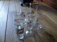 6 tlg. Set Biergläser, Bierglas, Trinkglas, 0,2 L - 0,3 l Niedersachsen - Winsen (Luhe) Vorschau