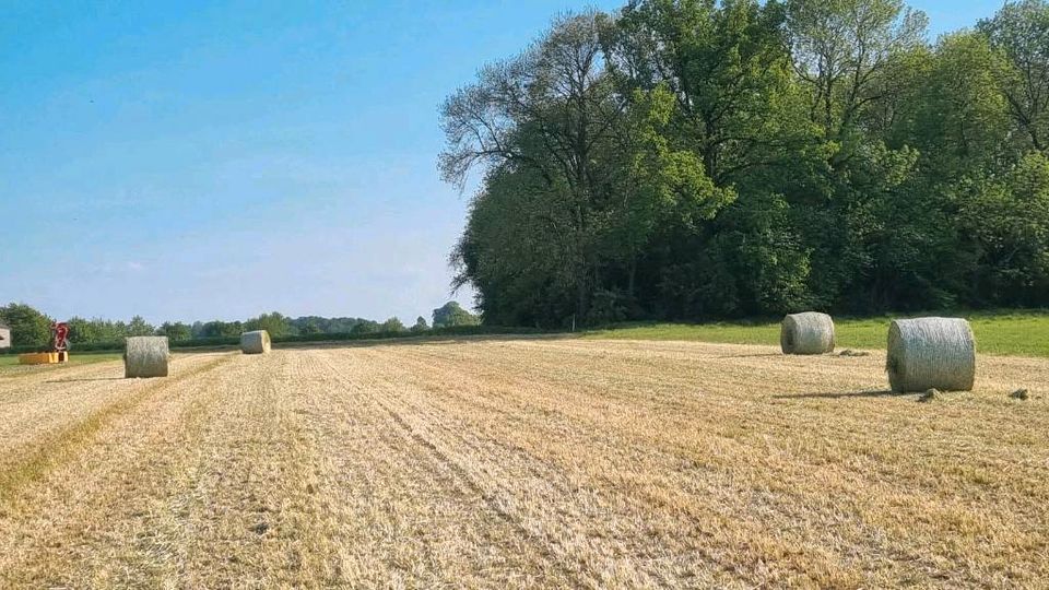 Presse Heu und Stroh in Rundballen in Möhnesee