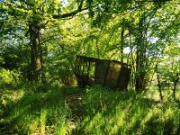 Wildvogelschutz, Nüsse, Rosinen, Äpfel, Nistkästen Niedersachsen - Duderstadt Vorschau